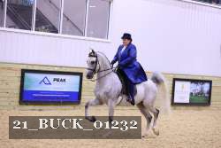 21_BUCK_01232 proof
