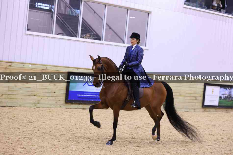 Proof 21_BUCK_01233