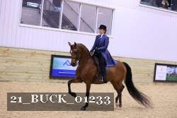 21_BUCK_01233 proof