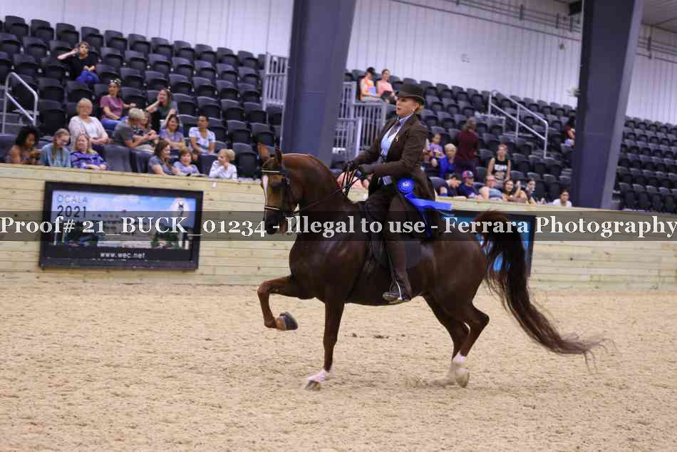 Proof 21_BUCK_01234