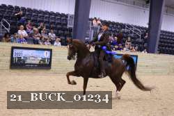 21_BUCK_01234 proof