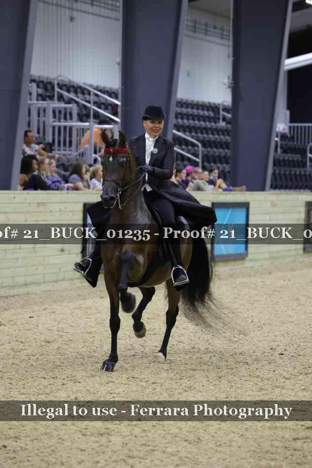 Proof 21_BUCK_01235