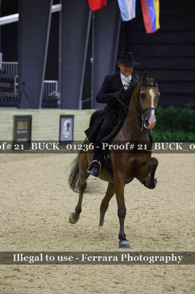 Proof 21_BUCK_01236