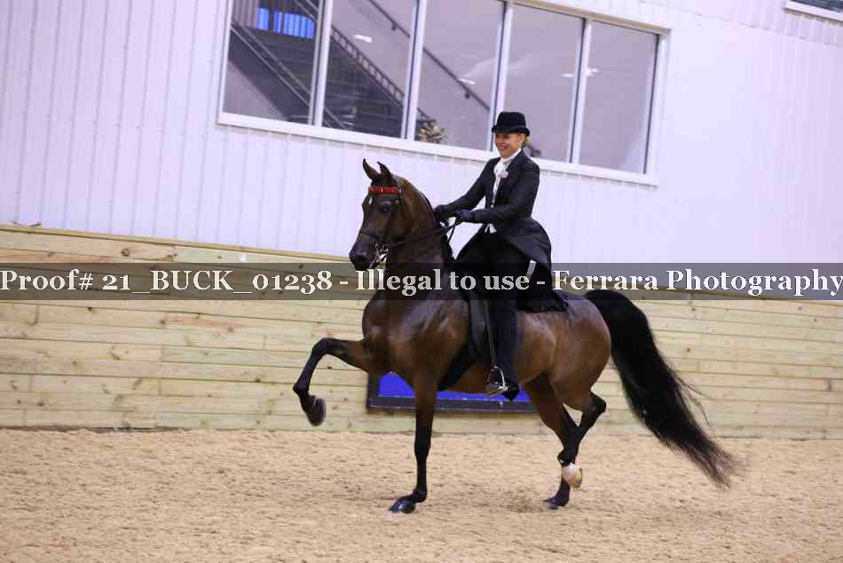 Proof 21_BUCK_01238