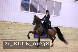 21_BUCK_01238 proof