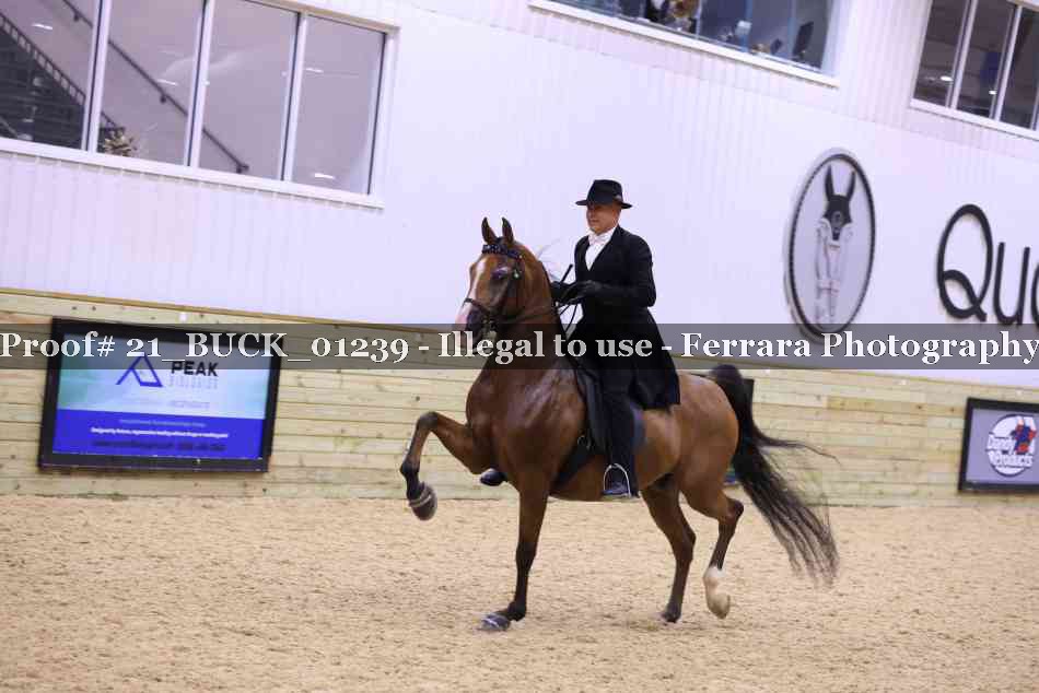 Proof 21_BUCK_01239