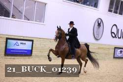 21_BUCK_01239 proof