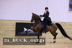 21_BUCK_01241 proof
