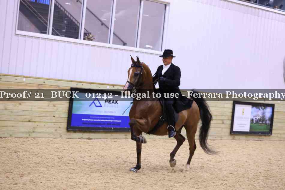 Proof 21_BUCK_01242