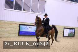 21_BUCK_01242 proof