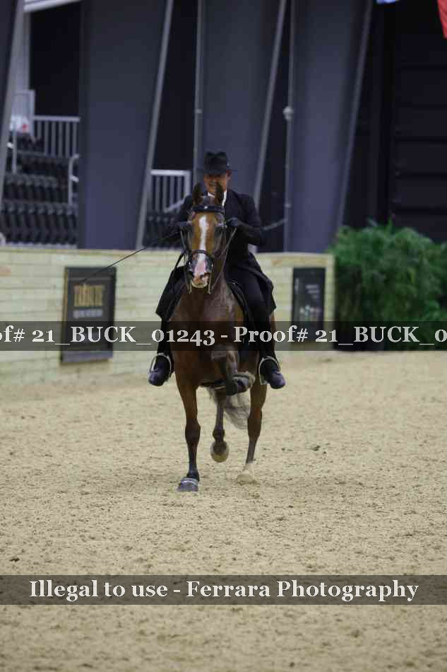 Proof 21_BUCK_01243