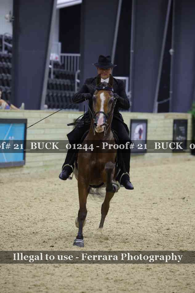 Proof 21_BUCK_01244