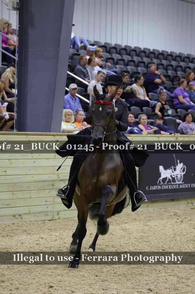 Proof 21_BUCK_01245