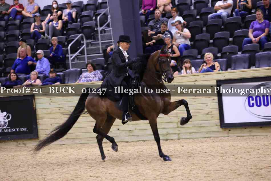 Proof 21_BUCK_01247