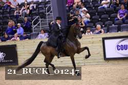 21_BUCK_01247 proof