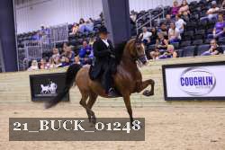 21_BUCK_01248 proof
