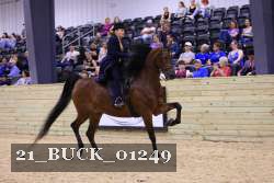 21_BUCK_01249 proof
