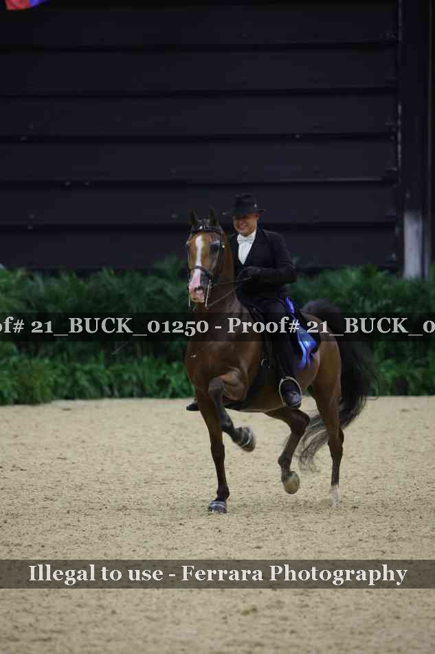 Proof 21_BUCK_01250