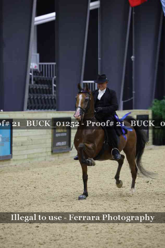 Proof 21_BUCK_01252