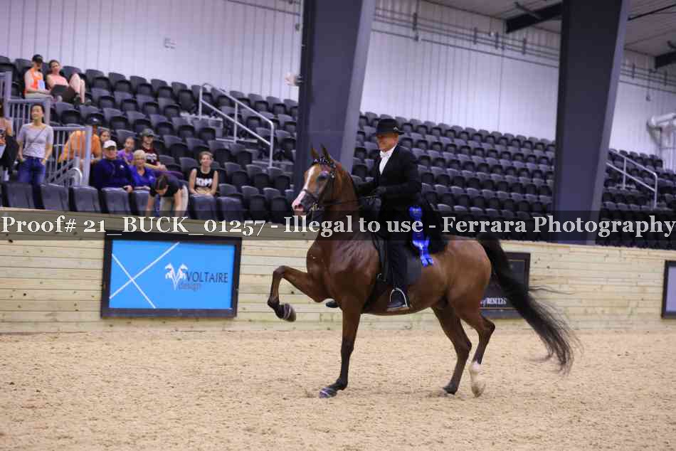 Proof 21_BUCK_01257