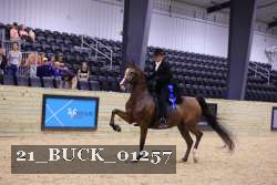 21_BUCK_01257 proof