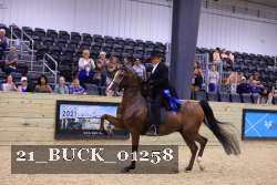 21_BUCK_01258 proof
