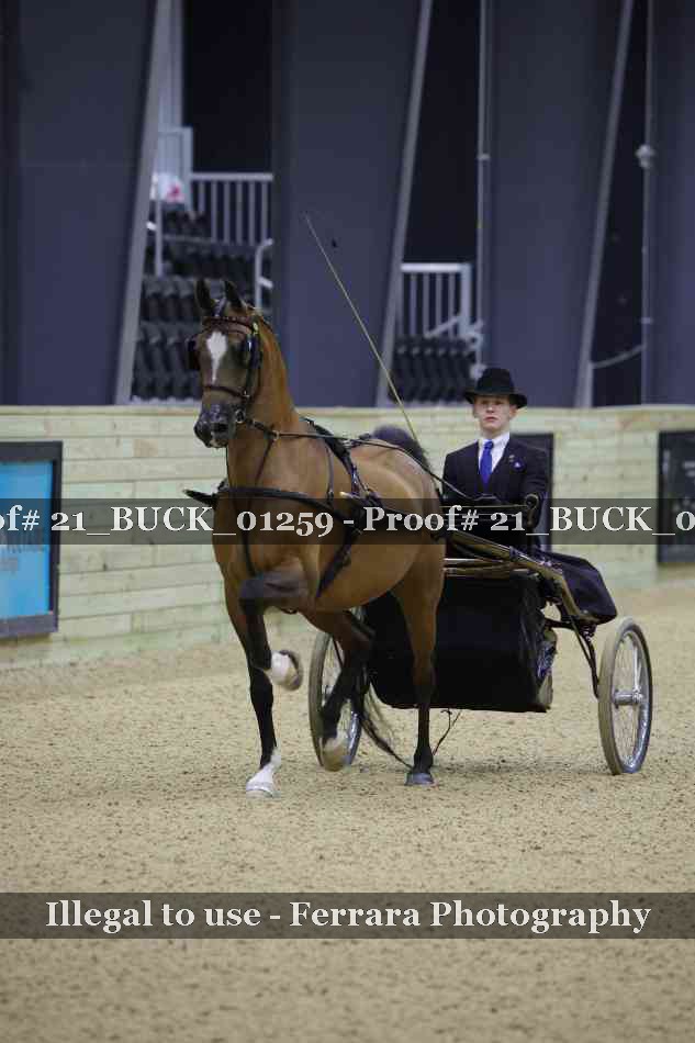 Proof 21_BUCK_01259