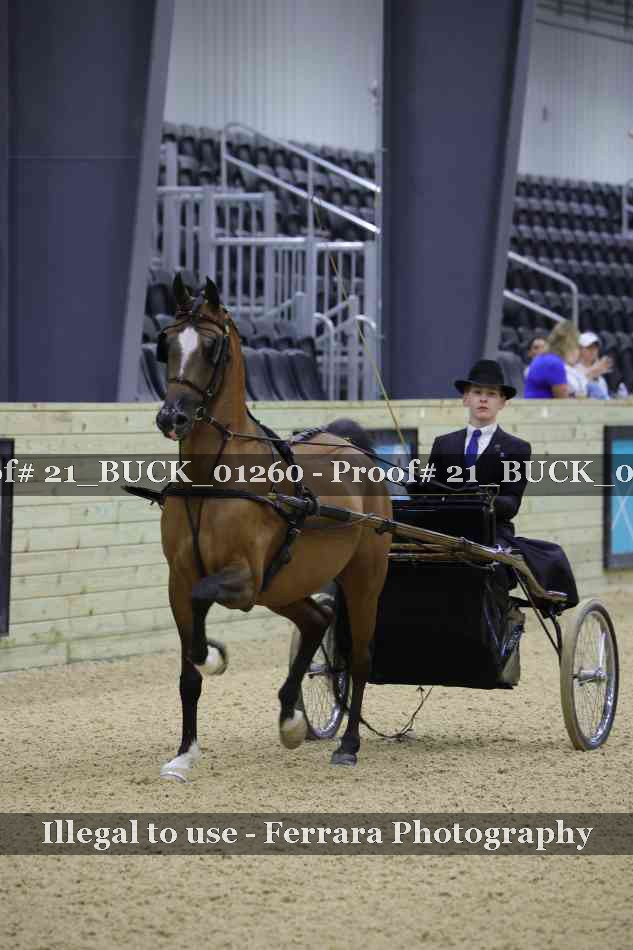 Proof 21_BUCK_01260