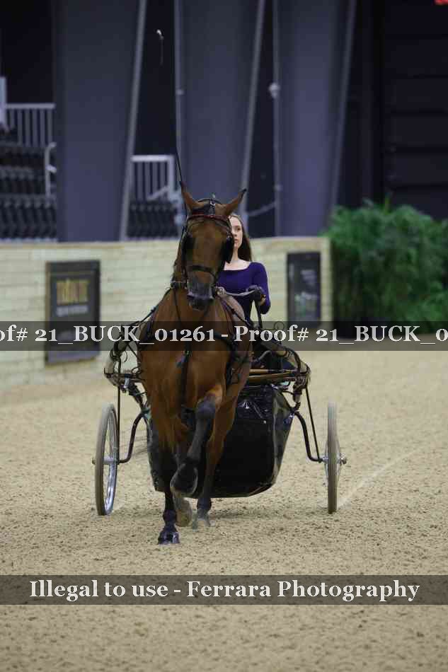 Proof 21_BUCK_01261