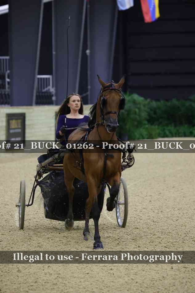 Proof 21_BUCK_01262