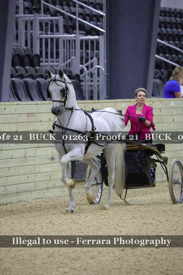 Proof 21_BUCK_01263