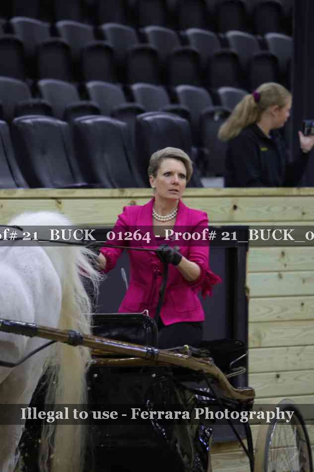 Proof 21_BUCK_01264