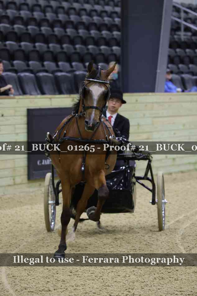 Proof 21_BUCK_01265