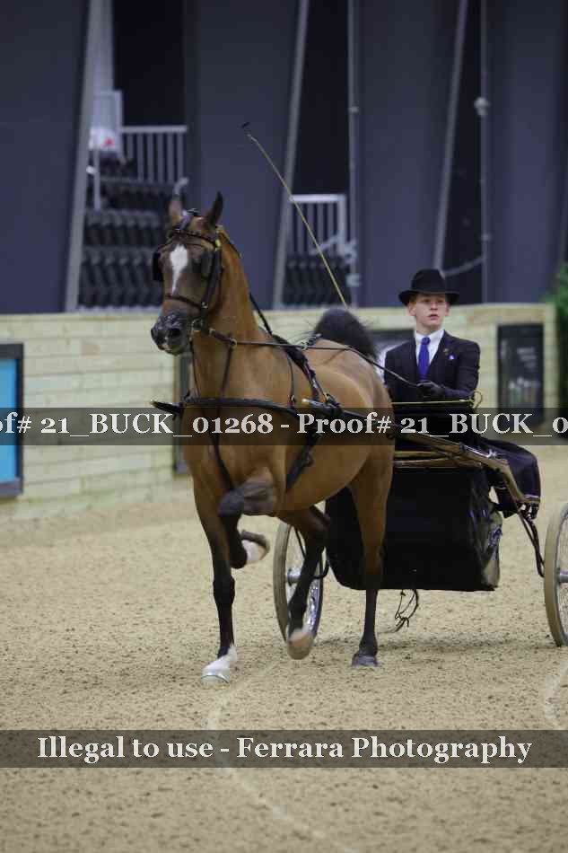 Proof 21_BUCK_01268