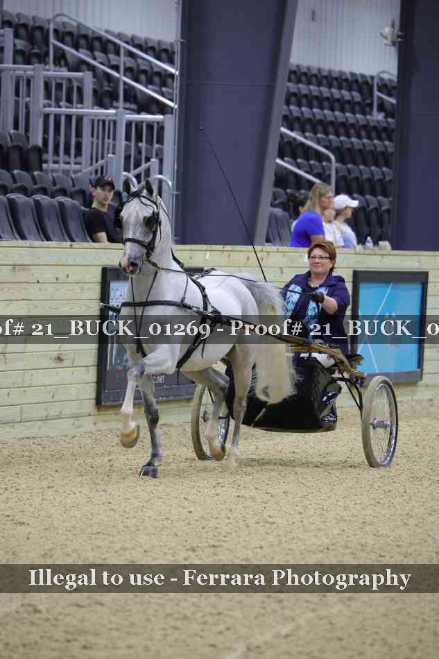 Proof 21_BUCK_01269