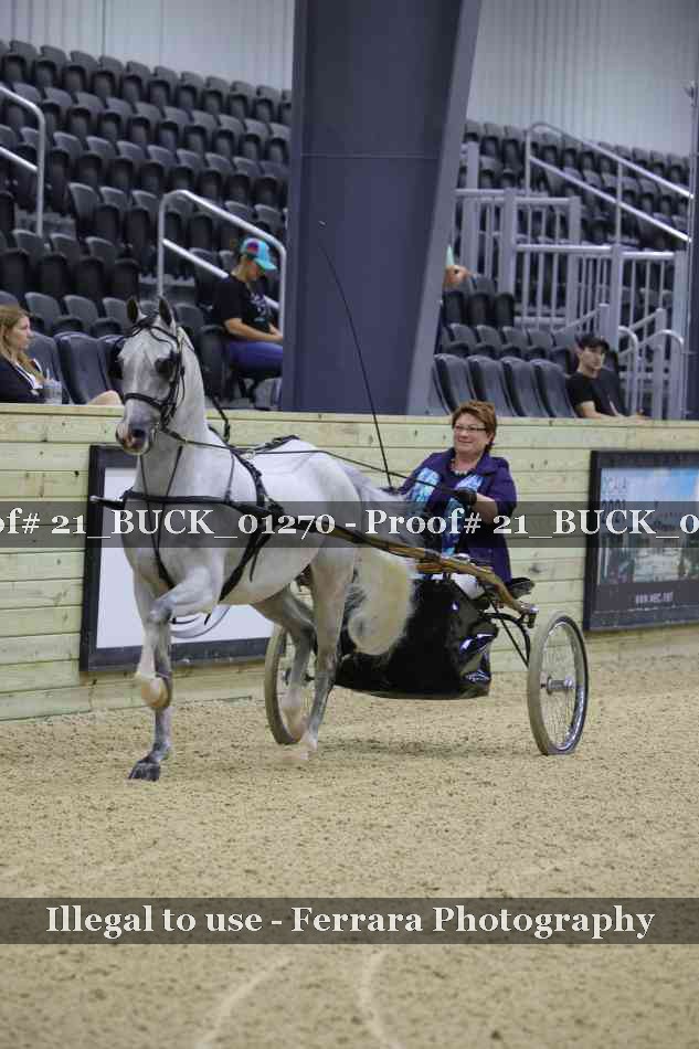 Proof 21_BUCK_01270