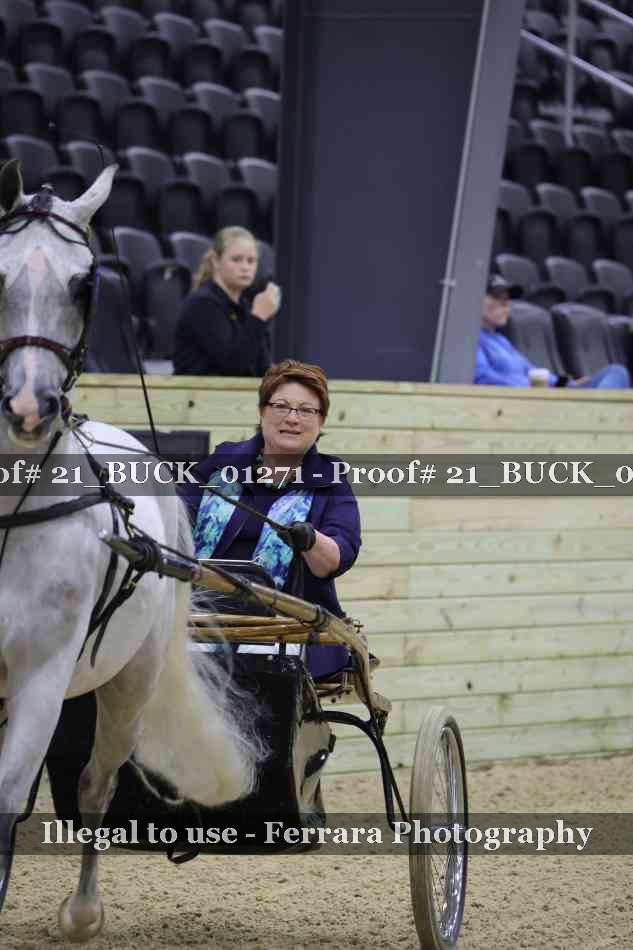 Proof 21_BUCK_01271