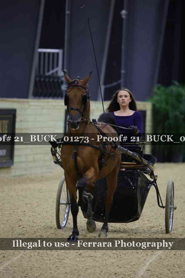 Proof 21_BUCK_01273