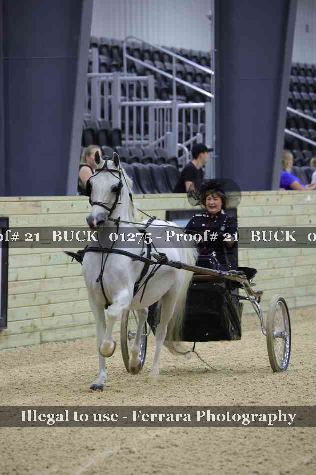 Proof 21_BUCK_01275