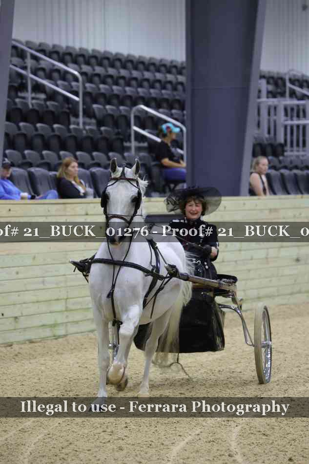 Proof 21_BUCK_01276