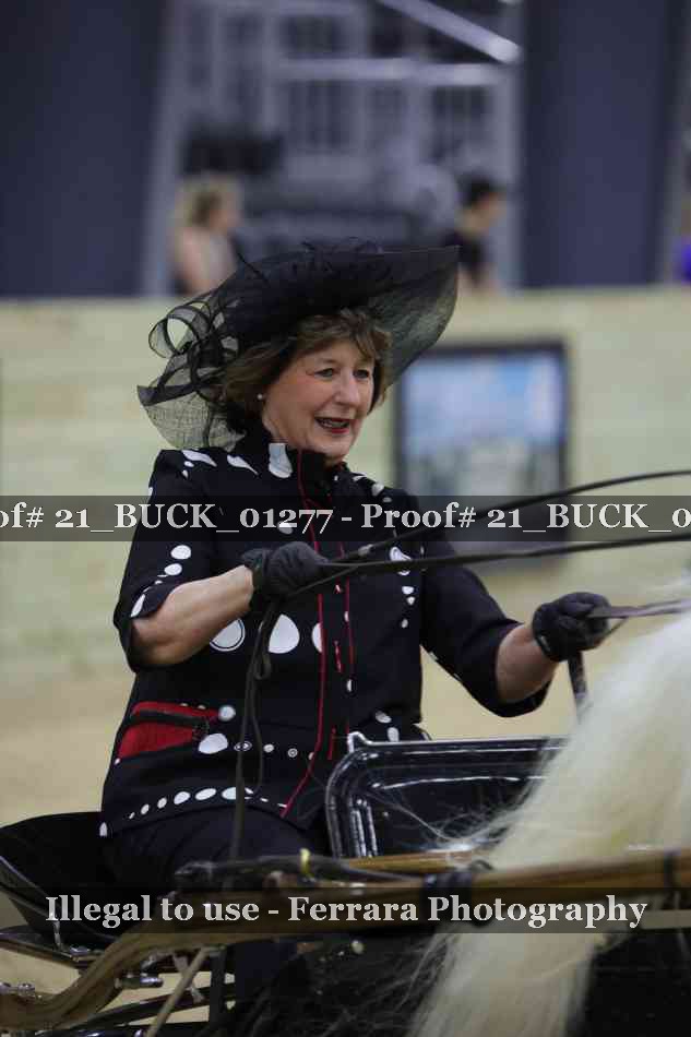 Proof 21_BUCK_01277
