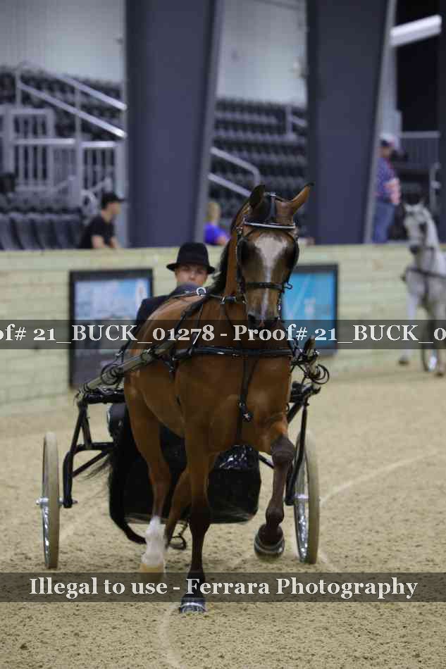 Proof 21_BUCK_01278