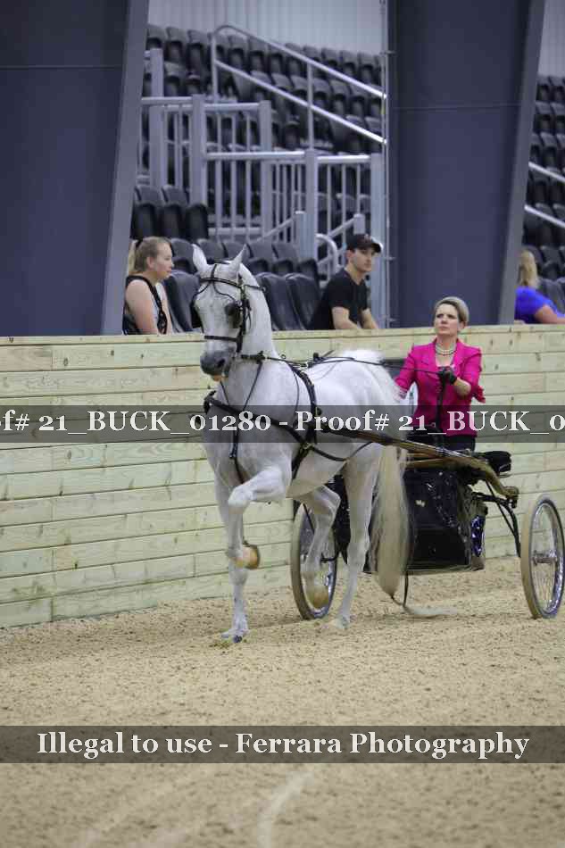 Proof 21_BUCK_01280