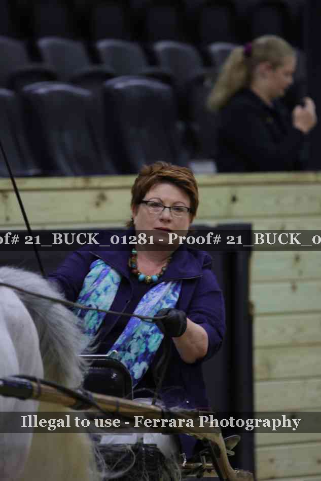 Proof 21_BUCK_01281