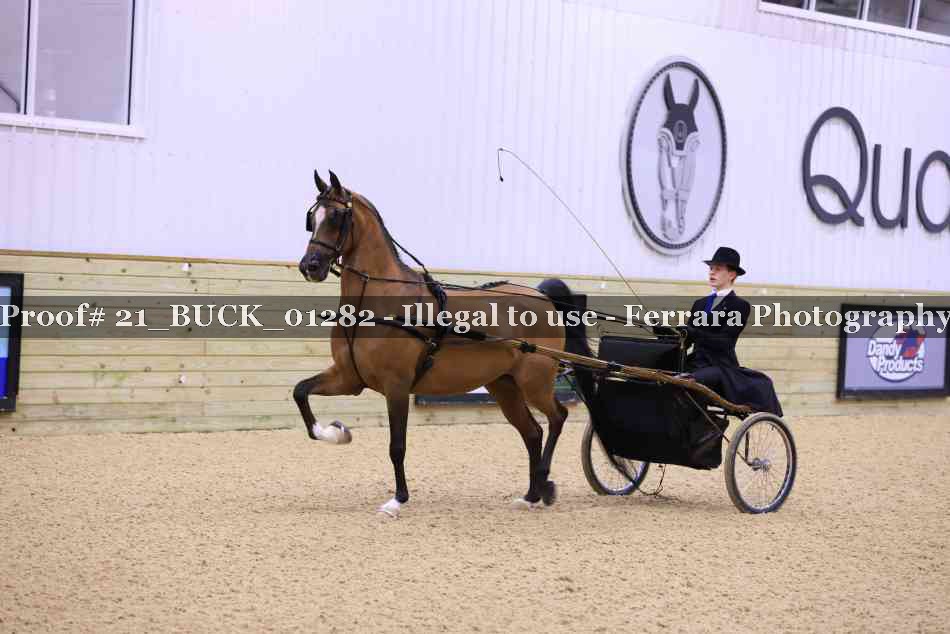 Proof 21_BUCK_01282