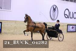 21_BUCK_01282 proof