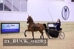 21_BUCK_01283 proof