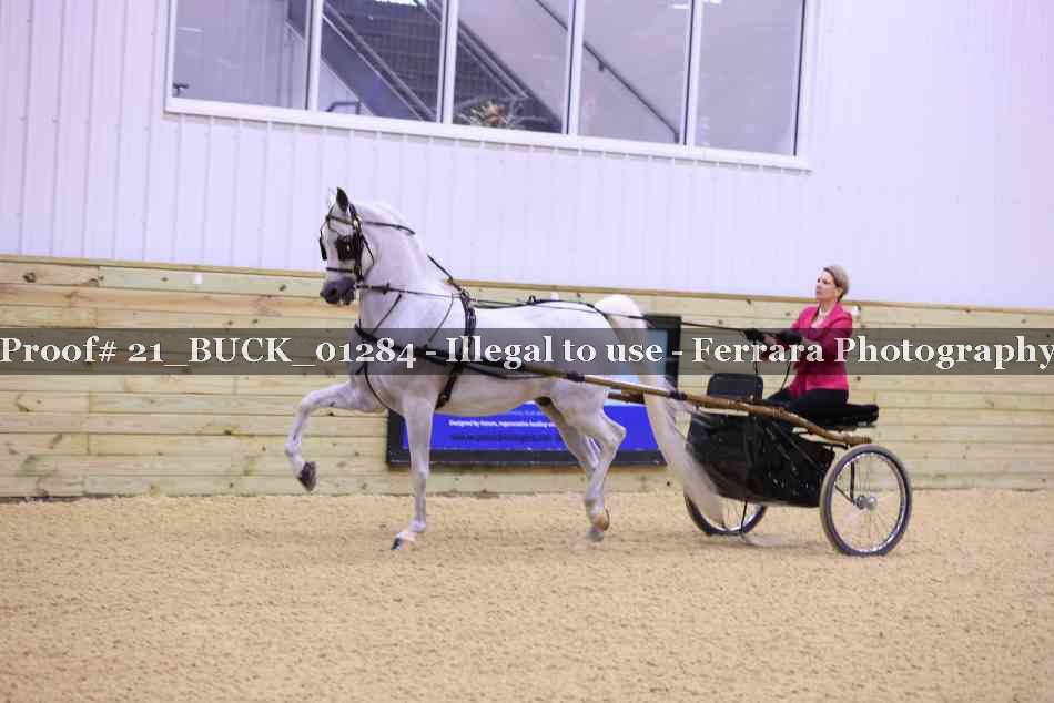Proof 21_BUCK_01284