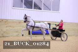 21_BUCK_01284 proof