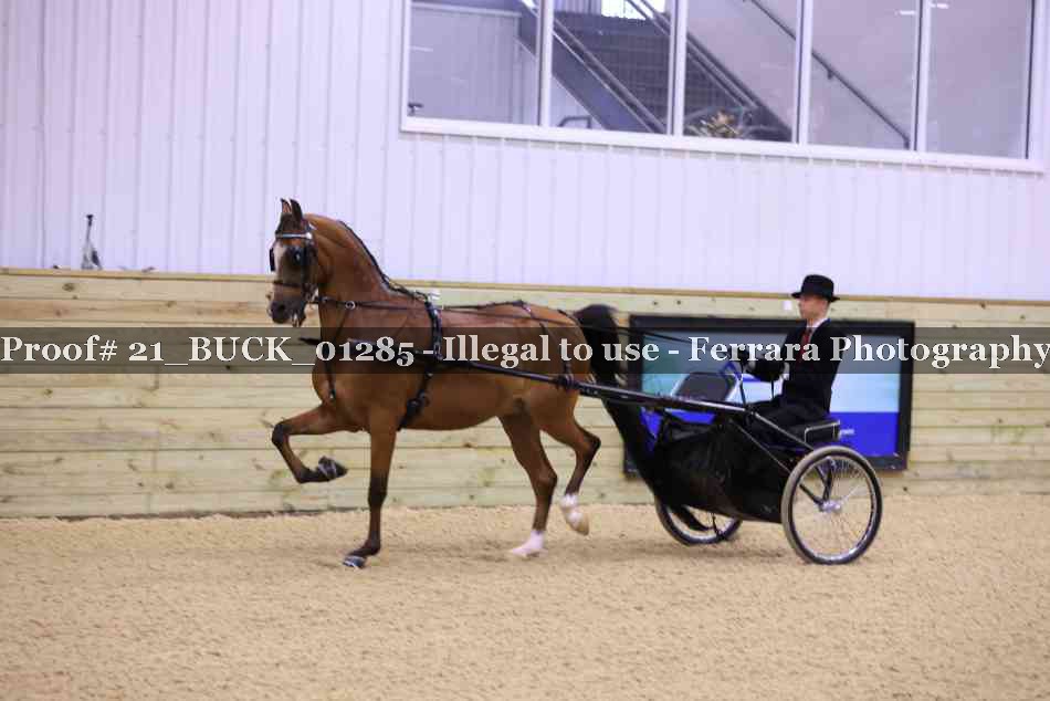 Proof 21_BUCK_01285